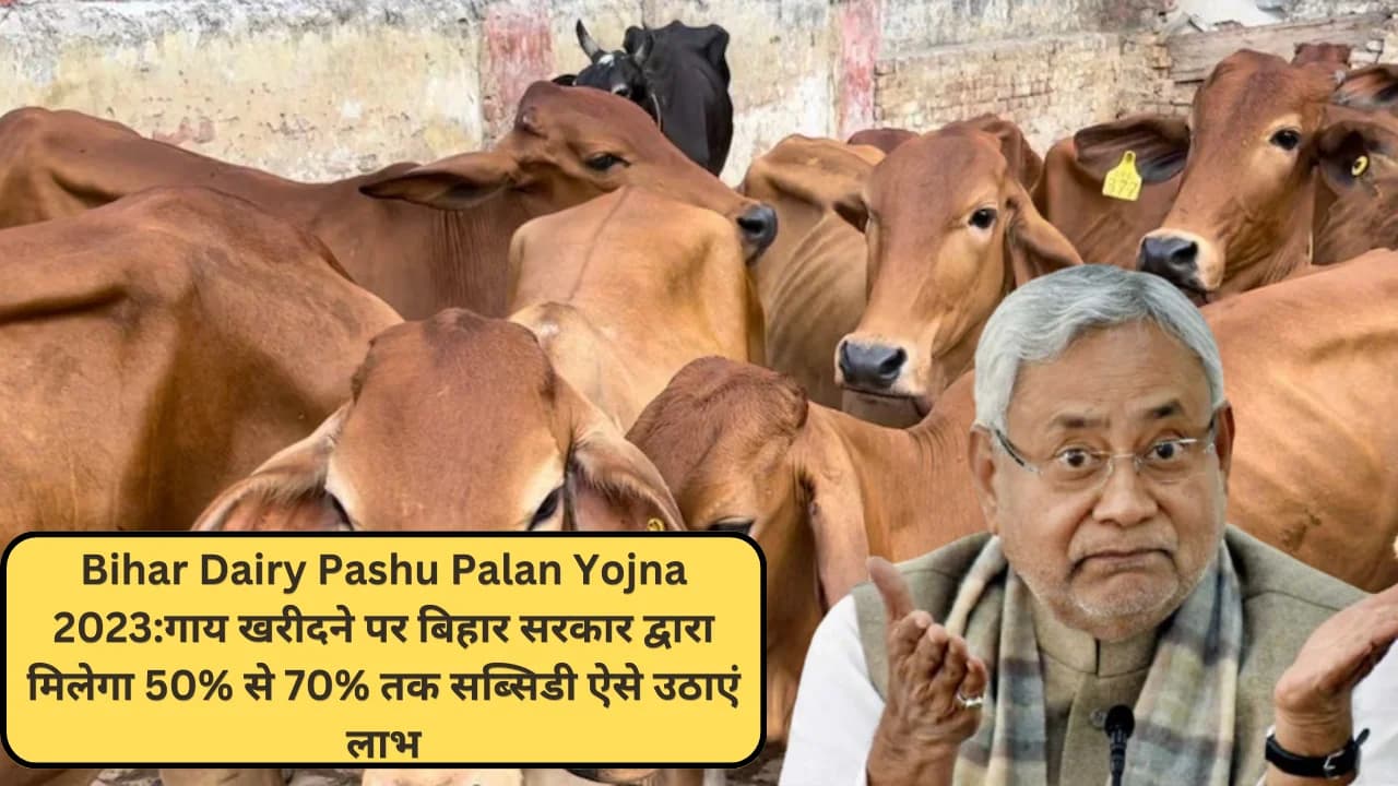 Bihar Dairy Pashu Palan Yojna 2023:गाय खरीदने पर बिहार सरकार द्वारा मिलेगा 50% से 70% तक सब्सिडी ऐसे उठाएं लाभ