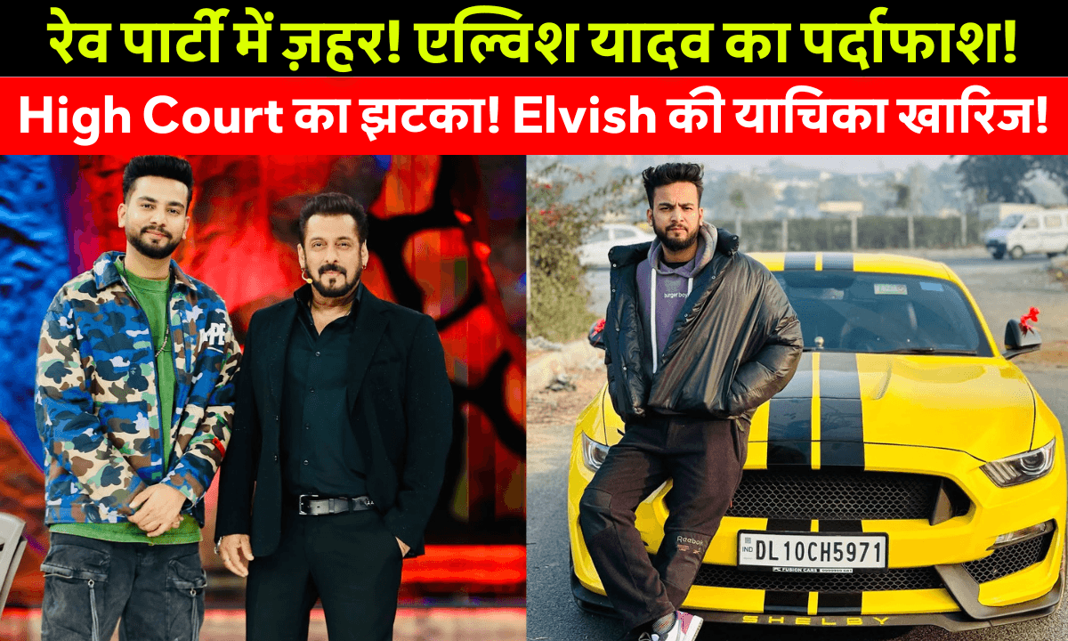 इलाहाबाद हाईकोर्ट ने Youtuber Elvish Yadav की याचिका खारिज की, सांपों के ज़हर और रेव पार्टी मामले में बढ़ी मुश्किलें