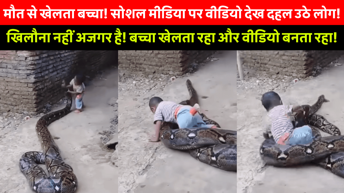 Child Playing With Giant Python: विशालकाय अजगर के साथ खेलता बच्चा, दिल दहला देने वाला वीडियो वायरल