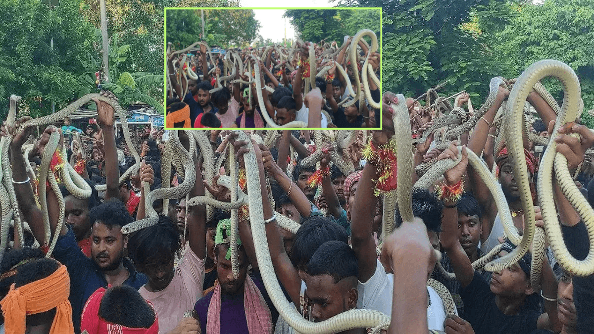 Samastipur Snake Viral Video: समस्तीपुर में Nagpanchami पर सांपों के साथ जश्न! गले में लपेटकर किया गया लाइव डांस, Viral हुआ पूरा मेला!