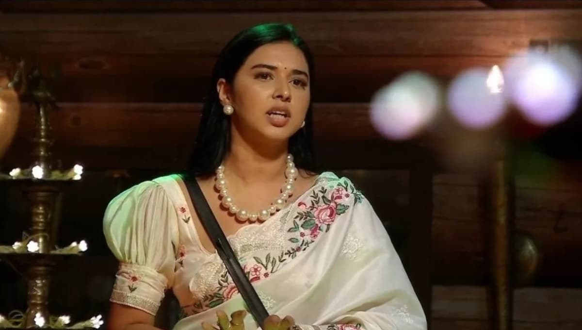 बिग बॉस 19 की कंटेस्टेंट Tanya Mittal Exposed हुईं, जब फैंस ने कहा एक नंबर की झूठी निकली,आंखों में झोंक रही हैं धूल